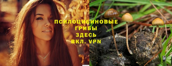 МДМА Алексеевка