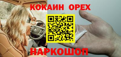 индика Нальчик