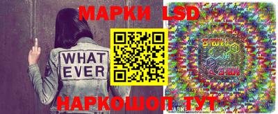 мяу мяу мука Новозыбков