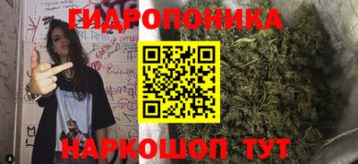 мяу мяу мука Новозыбков